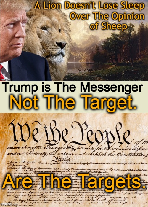 Imagine an America Where Americans Aren't First & Globalists Tell Us What To Do & How To Think!! |  Trump is The Messenger; Not The Target. Are The Targets. | image tagged in politics,donald trump,target,we the people,america's future,globalism | made w/ Imgflip meme maker