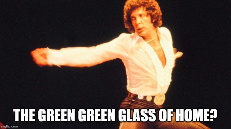 Tom Jones | THE GREEN GREEN GLASS OF HOME? | image tagged in tom jones | made w/ Imgflip meme maker