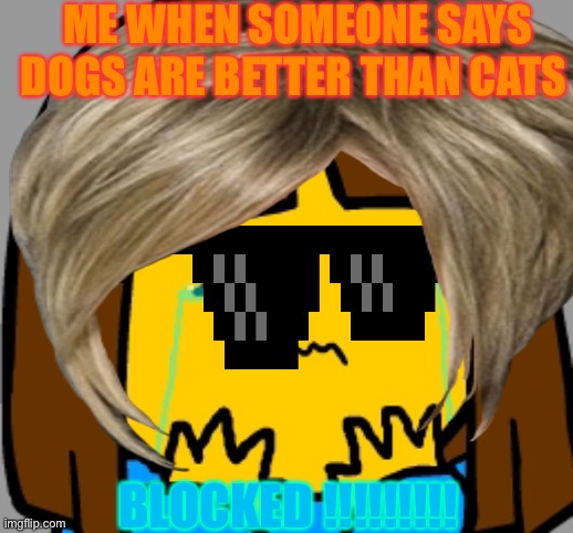 Cat | ME WHEN SOMEONE SAYS DOGS ARE BETTER THAN CATS; BLOCKED !!!!!!!!! | image tagged in cat | made w/ Imgflip meme maker