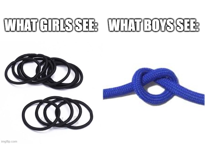 So true | WHAT GIRLS SEE:; WHAT BOYS SEE: | image tagged in blank bar,relatable,girls vs boys | made w/ Imgflip meme maker