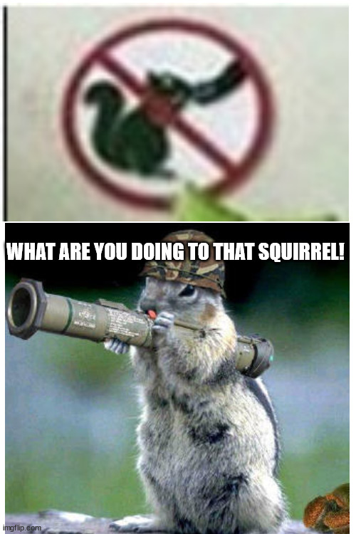 WHAT ARE YOU DOING TO THAT SQUIRREL! | image tagged in blank white template | made w/ Imgflip meme maker