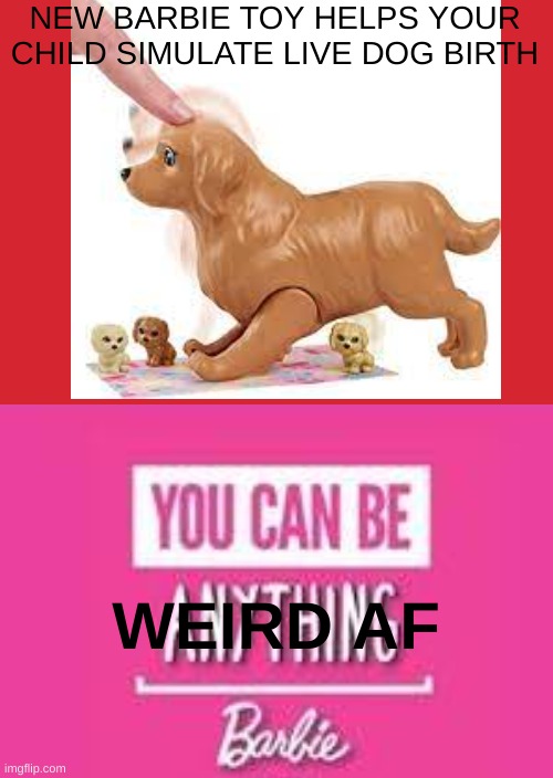 wtf | NEW BARBIE TOY HELPS YOUR CHILD SIMULATE LIVE DOG BIRTH; WEIRD AF | image tagged in dog,barbie,wtf | made w/ Imgflip meme maker
