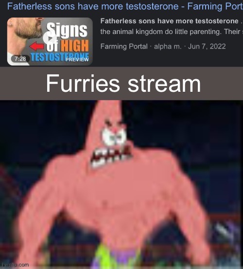 Fatherless sons have more testosterone | Furries stream | image tagged in fatherless sons have more testosterone | made w/ Imgflip meme maker