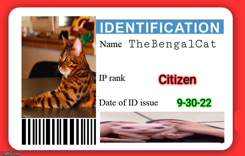 DMV ID Card | Citizen 9-30-22 | image tagged in dmv id card | made w/ Imgflip meme maker