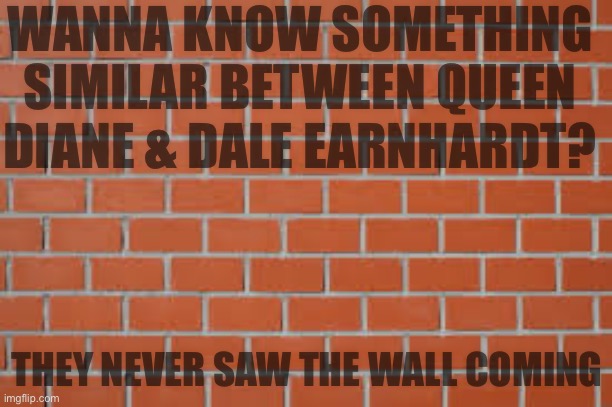 Wall_Stream | WANNA KNOW SOMETHING SIMILAR BETWEEN QUEEN DIANE & DALE EARNHARDT? THEY NEVER SAW THE WALL COMING | image tagged in brick wall | made w/ Imgflip meme maker