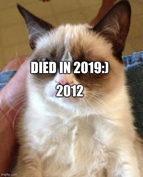 Grumpy Cat Meme | DIED IN 2019:); 2012 | image tagged in memes,grumpy cat | made w/ Imgflip meme maker