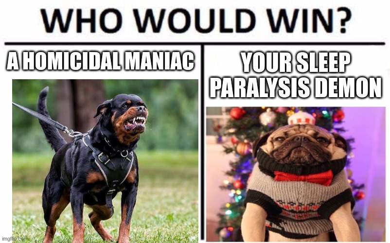Who Would Win? Meme | A HOMICIDAL MANIAC; YOUR SLEEP PARALYSIS DEMON | image tagged in memes,who would win | made w/ Imgflip meme maker