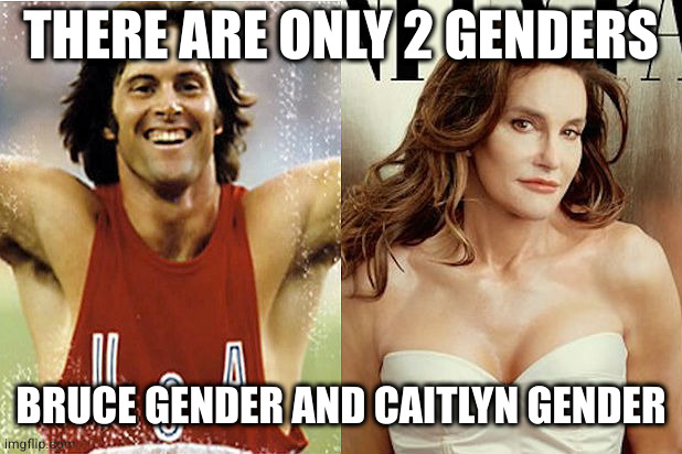 Bruce Caitlyn Jenner | THERE ARE ONLY 2 GENDERS BRUCE GENDER AND CAITLYN GENDER | image tagged in bruce caitlyn jenner | made w/ Imgflip meme maker