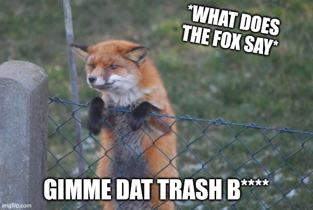 FOX WANNA BUY | *WHAT DOES THE FOX SAY*; GIMME DAT TRASH B**** | image tagged in fox wanna buy | made w/ Imgflip meme maker