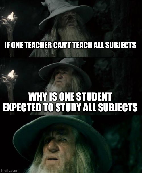 Confused Gandalf Meme | IF ONE TEACHER CAN’T TEACH ALL SUBJECTS; WHY IS ONE STUDENT EXPECTED TO STUDY ALL SUBJECTS | image tagged in memes,confused gandalf | made w/ Imgflip meme maker