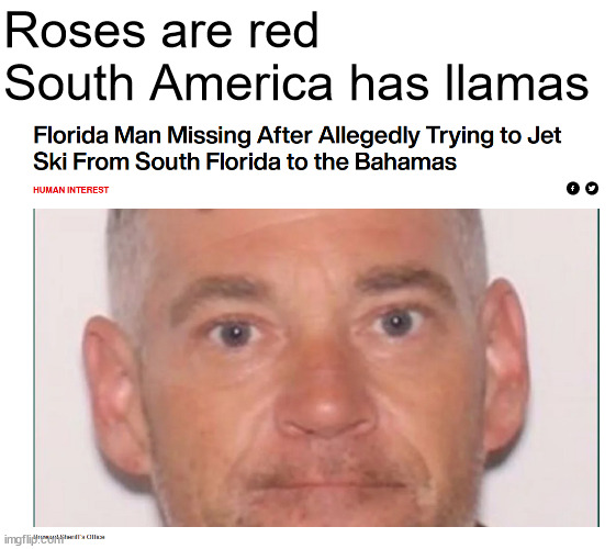 Florida man |  Roses are red
South America has llamas | image tagged in florida man,florida,bahamas,roses are red,jet ski,llamas | made w/ Imgflip meme maker