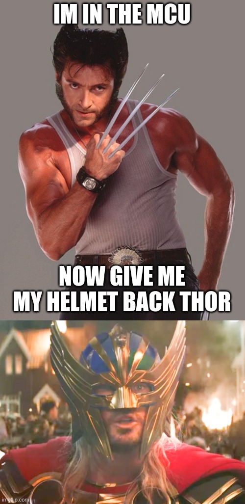 IM IN THE MCU; NOW GIVE ME MY HELMET BACK THOR | image tagged in wolverine | made w/ Imgflip meme maker