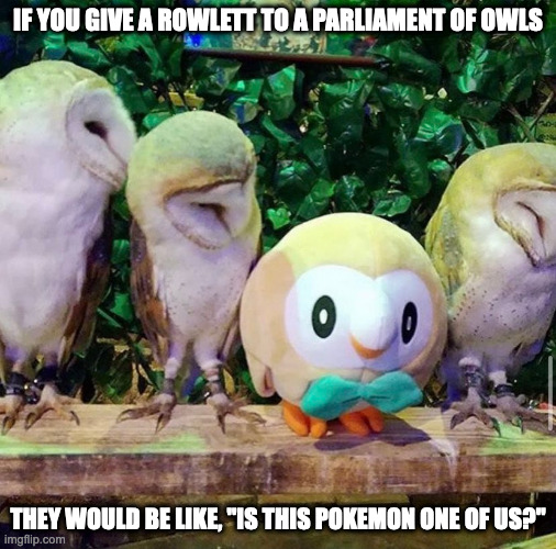 Owls With Rowlet | IF YOU GIVE A ROWLETT TO A PARLIAMENT OF OWLS; THEY WOULD BE LIKE, "IS THIS POKEMON ONE OF US?" | image tagged in rowlet,pokemon,owls,memes | made w/ Imgflip meme maker