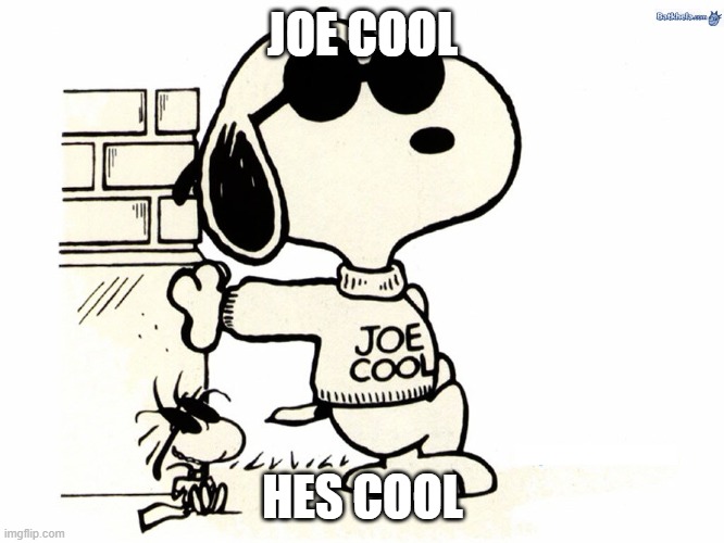 Snoopy Joe Cool | JOE COOL; HES COOL | image tagged in snoopy joe cool,snoopy,peanuts | made w/ Imgflip meme maker