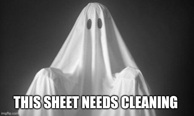 Ghost | THIS SHEET NEEDS CLEANING | image tagged in ghost | made w/ Imgflip meme maker