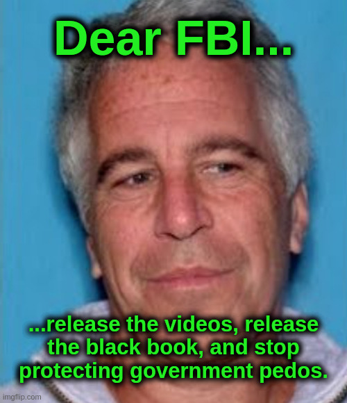 Dear FBI... | Dear FBI... ...release the videos, release
the black book, and stop
protecting government pedos. | image tagged in epstein,fbi,pedophiles,government,politicians,washington | made w/ Imgflip meme maker