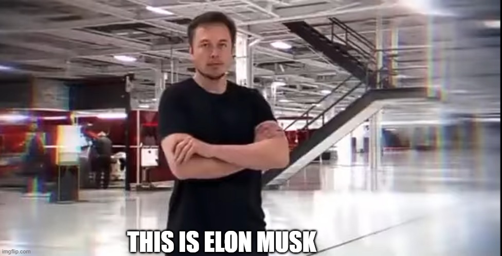 This is Elon Musk | THIS IS ELON MUSK | image tagged in this is elon musk | made w/ Imgflip meme maker