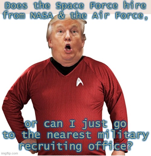 My brain still can't process that this is real. | Does the Space Force hire
from NASA & the Air Force, or can I just go to the nearest military recruiting office? | image tagged in trump red-shirt space force,military industrial complex,big government,this is america,made in usa | made w/ Imgflip meme maker