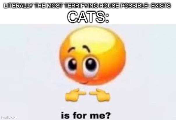 Cats be like | CATS:; LITERALLY THE MOST TERRIFYING HOUSE POSSIBLE: EXISTS | image tagged in is for me | made w/ Imgflip meme maker