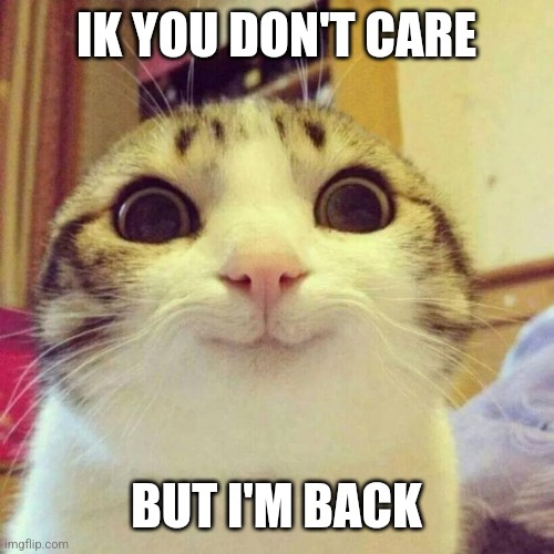 Hello again! | IK YOU DON'T CARE; BUT I'M BACK | image tagged in memes,smiling cat | made w/ Imgflip meme maker