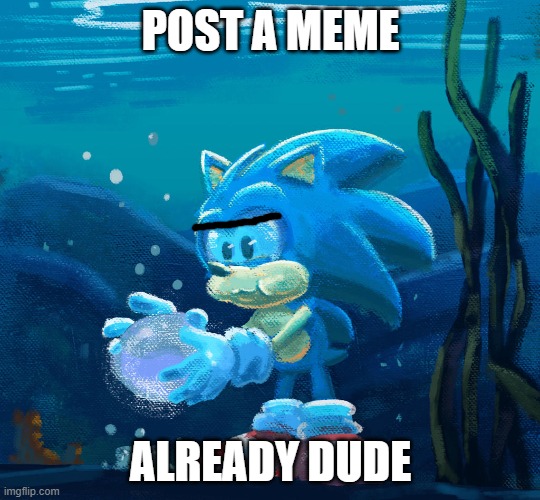 Please post a meme in this stream | POST A MEME; ALREADY DUDE | image tagged in sonic the hedgehog,still waiting,water,stream,funny memes,stop reading the tags | made w/ Imgflip meme maker