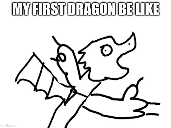 hmmmm | MY FIRST DRAGON BE LIKE | image tagged in blank white template | made w/ Imgflip meme maker