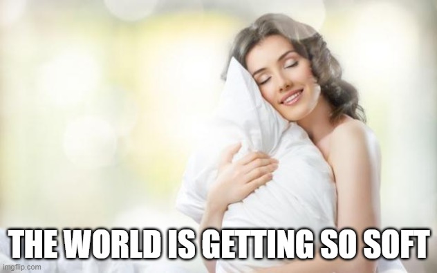 Soft Pillow | THE WORLD IS GETTING SO SOFT | image tagged in soft pillow | made w/ Imgflip meme maker