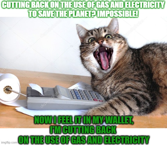 This #lolcat wonders why we suddenly can cut back on the use of gas and electricity | CUTTING BACK ON THE USE OF GAS AND ELECTRICITY
TO SAVE THE PLANET? IMPOSSIBLE! NOW I FEEL IT IN MY WALLET,
I'M CUTTING BACK 
ON THE USE OF GAS AND ELECTRICITY | image tagged in selfishness,lolcat,think about it,climate change,electricity,gas | made w/ Imgflip meme maker