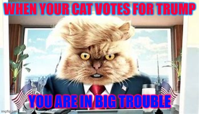 Donald cat | WHEN YOUR CAT VOTES FOR TRUMP; YOU ARE IN BIG TROUBLE | image tagged in donald trump | made w/ Imgflip meme maker