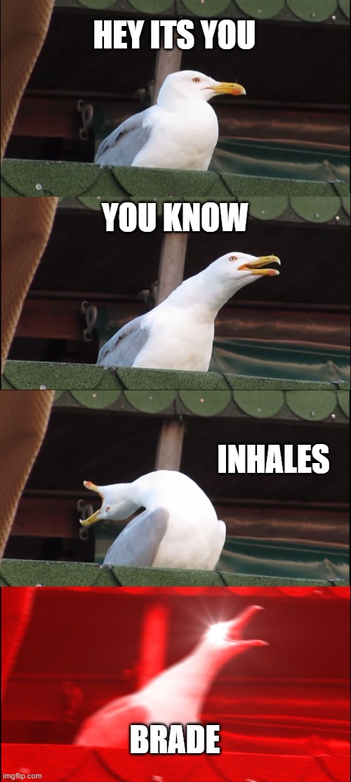 BRADE | HEY ITS YOU; YOU KNOW; INHALES; BRADE | image tagged in memes,inhaling seagull | made w/ Imgflip meme maker