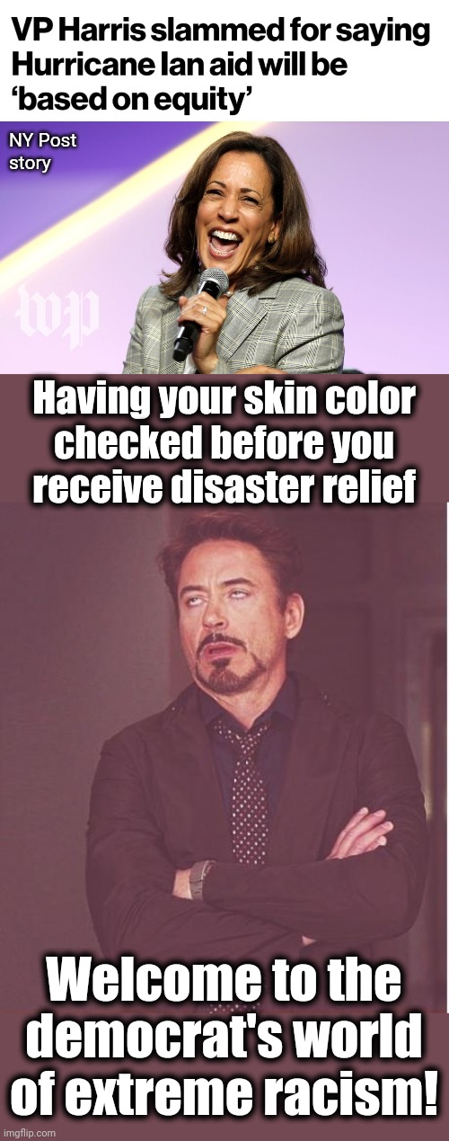 Outrageous! | NY Post
story; Having your skin color
checked before you
receive disaster relief; Welcome to the democrat's world of extreme racism! | image tagged in memes,face you make robert downey jr,kamala harris,democrats,joe biden,racism | made w/ Imgflip meme maker