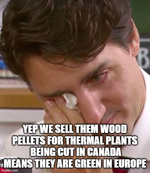 Justin Trudeau Crying | YEP WE SELL THEM WOOD PELLETS FOR THERMAL PLANTS
 BEING CUT IN CANADA MEANS THEY ARE GREEN IN EUROPE | image tagged in justin trudeau crying | made w/ Imgflip meme maker