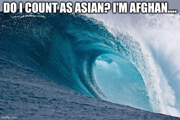 do i tho?(mod note: ofc) | DO I COUNT AS ASIAN? I'M AFGHAN.... | image tagged in /srs | made w/ Imgflip meme maker
