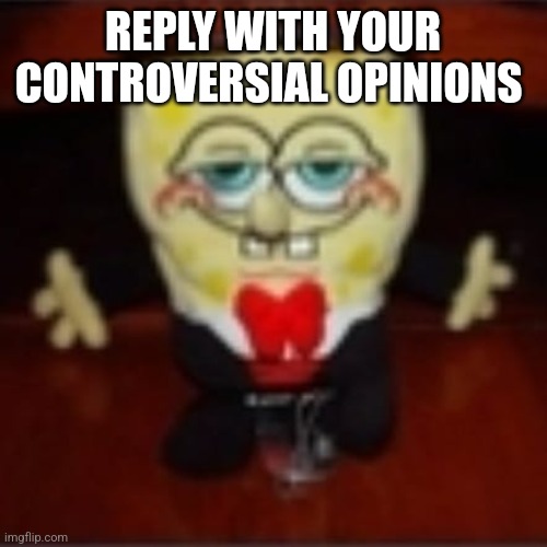 idk.jpg | REPLY WITH YOUR CONTROVERSIAL OPINIONS | image tagged in idk jpg | made w/ Imgflip meme maker