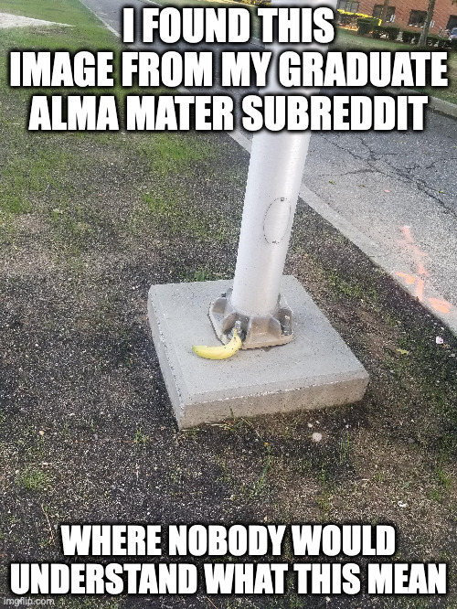 Banana on a Flag Stand | I FOUND THIS IMAGE FROM MY GRADUATE ALMA MATER SUBREDDIT; WHERE NOBODY WOULD UNDERSTAND WHAT THIS MEAN | image tagged in college,reddit,meme,banana | made w/ Imgflip meme maker