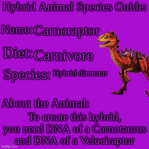 Carnoraptor | Carnoraptor; Carnivore; Hybrid dinosaur; To create this hybrid, you need DNA of a Carnotaurus and DNA of a Velociraptor | image tagged in hybrid animal species guide | made w/ Imgflip meme maker