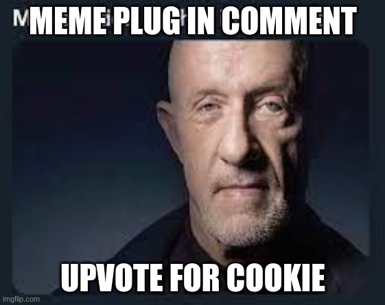 my reaction | MEME PLUG IN COMMENT; UPVOTE FOR COOKIE | image tagged in my reaction | made w/ Imgflip meme maker
