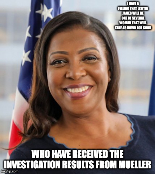 Letitia James | I HAVE A FEELING THAT LETITIA JAMES WILL BE ONE OF SEVERAL WOMAN THAT WILL TAKE 45 DOWN FOR GOOD; WHO HAVE RECEIVED THE INVESTIGATION RESULTS FROM MUELLER | image tagged in letitia james,memes,politics | made w/ Imgflip meme maker