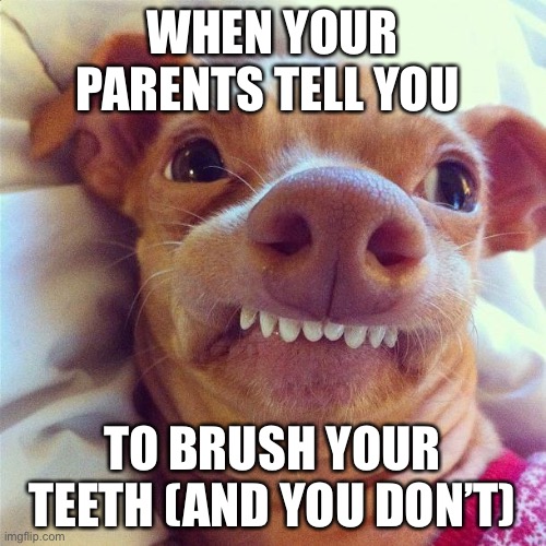 PHTEVEN | WHEN YOUR PARENTS TELL YOU; TO BRUSH YOUR TEETH (AND YOU DON’T) | image tagged in phteven,funny gif | made w/ Imgflip meme maker