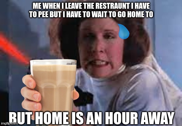 prinses leia | ME WHEN I LEAVE THE RESTRAUNT I HAVE TO PEE BUT I HAVE TO WAIT TO GO HOME TO; BUT HOME IS AN HOUR AWAY | image tagged in prinses leia | made w/ Imgflip meme maker