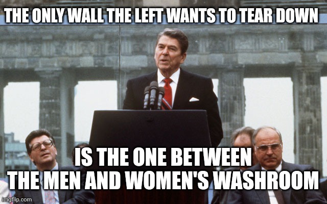 Let's leave THAT wall up |  THE ONLY WALL THE LEFT WANTS TO TEAR DOWN; IS THE ONE BETWEEN THE MEN AND WOMEN'S WASHROOM | image tagged in ronald reagan wall | made w/ Imgflip meme maker