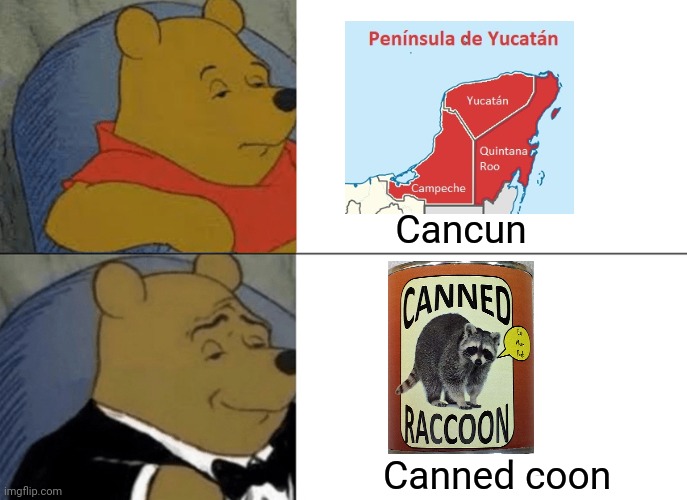 Cancun = canned coon in Spanish | Cancun; Canned coon | image tagged in memes,tuxedo winnie the pooh | made w/ Imgflip meme maker