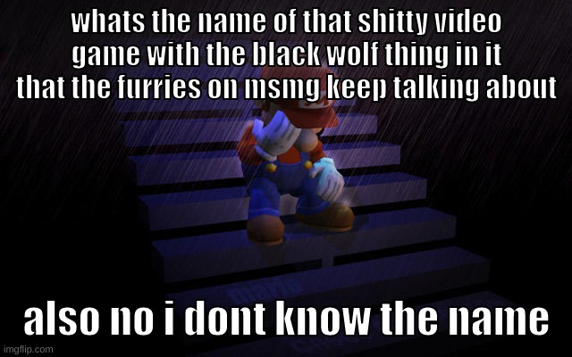 prob some roblox shit | whats the name of that shitty video game with the black wolf thing in it that the furries on msmg keep talking about; also no i dont know the name | image tagged in memes,funny,zad mario,furry,game,name | made w/ Imgflip meme maker