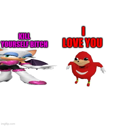 @zh7 (note: shes not telling the user to k*ll themselves, shes telling knuckles to do it. plus theres no lighting guy) | I LOVE YOU; KILL YOURSELF BITCH | image tagged in memes,funny,blank white template,knuckles,rouge,knuxouge | made w/ Imgflip meme maker