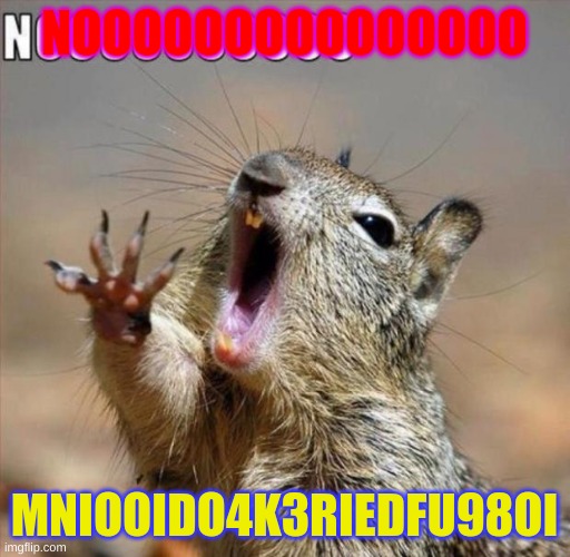 noooooooooooooooooooooooo | NOOOOOOOOOOOOOOO MNIOOIDO4K3RIEDFU98OI | image tagged in noooooooooooooooooooooooo | made w/ Imgflip meme maker