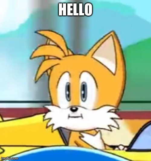 Tails hold up | HELLO | image tagged in tails hold up | made w/ Imgflip meme maker