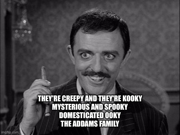 Gomez Addams | THEY'RE CREEPY AND THEY'RE KOOKY
MYSTERIOUS AND SPOOKY
DOMESTICATED OOKY
THE ADDAMS FAMILY | image tagged in gomez addams | made w/ Imgflip meme maker