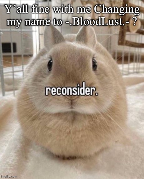 I don’t really care, nows your chance for objection | Y’all fine with me Changing my name to -.BloodLust.- ? | image tagged in reconsider | made w/ Imgflip meme maker