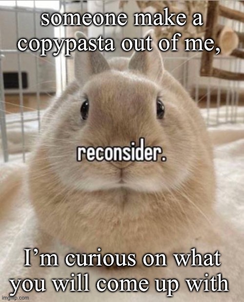 reconsider | someone make a copypasta out of me, I’m curious on what you will come up with | image tagged in reconsider | made w/ Imgflip meme maker