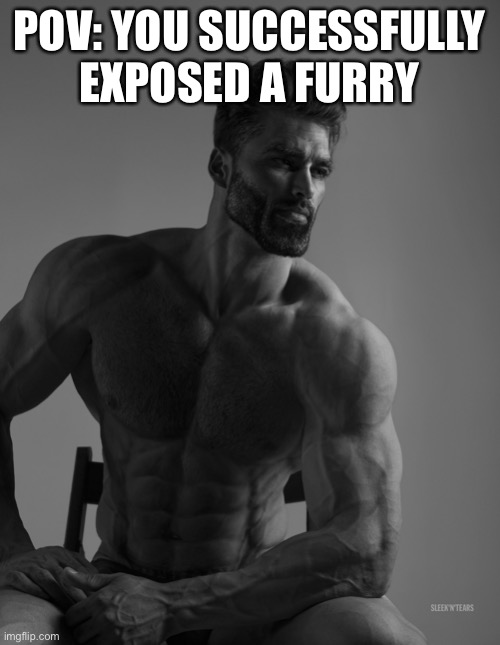 Giga Chad | POV: YOU SUCCESSFULLY EXPOSED A FURRY | image tagged in giga chad | made w/ Imgflip meme maker